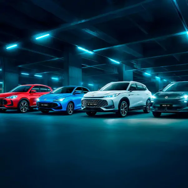 Offres professionnelles MG Motor