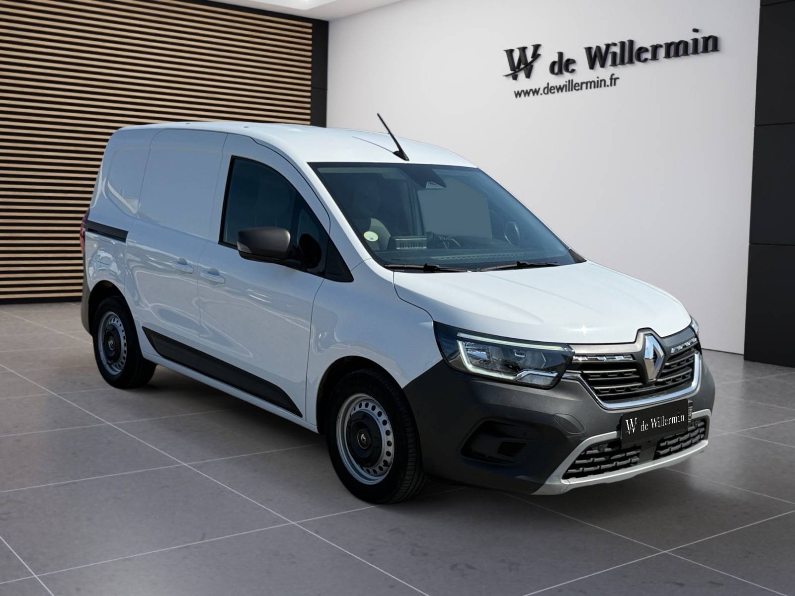 Photo RENAULT KANGOO VAN KANGOO VAN BLUE DCI 95